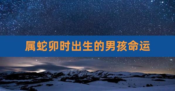 属蛇卯时出生的男孩