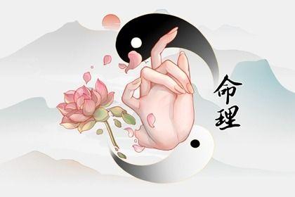 2009年4月出生的人是什么命,一生命运如何?