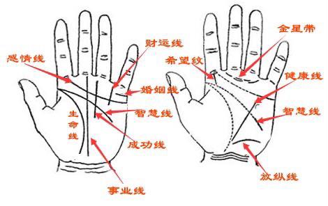 男人的手相图解,5种手相男人最有钱