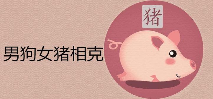 男猪女狗的属相相配吗?生肖狗的优点是什么?