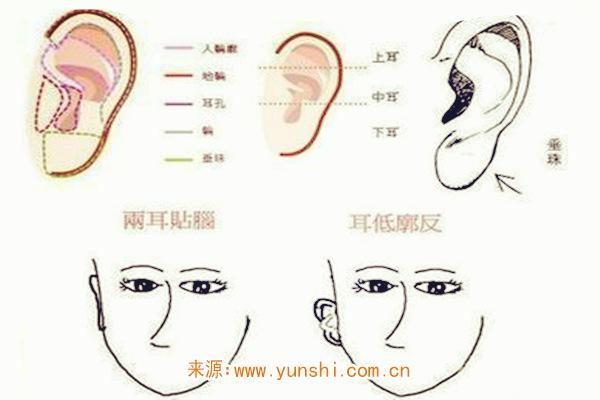 你的耳朵是富贵相吗?