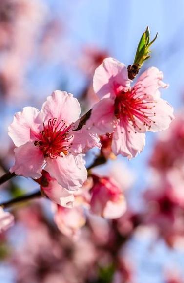 黑袜子放在家里桃花位,容易犯烂桃花