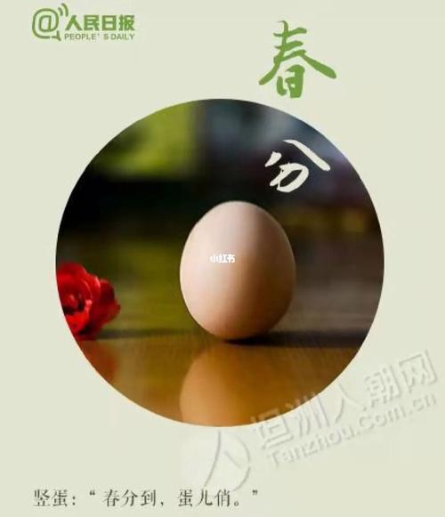 春分到,蛋儿俏是什么意思