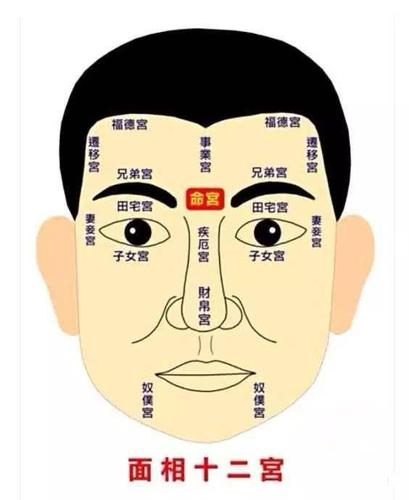 太阴星在夫妻宫_面相解析