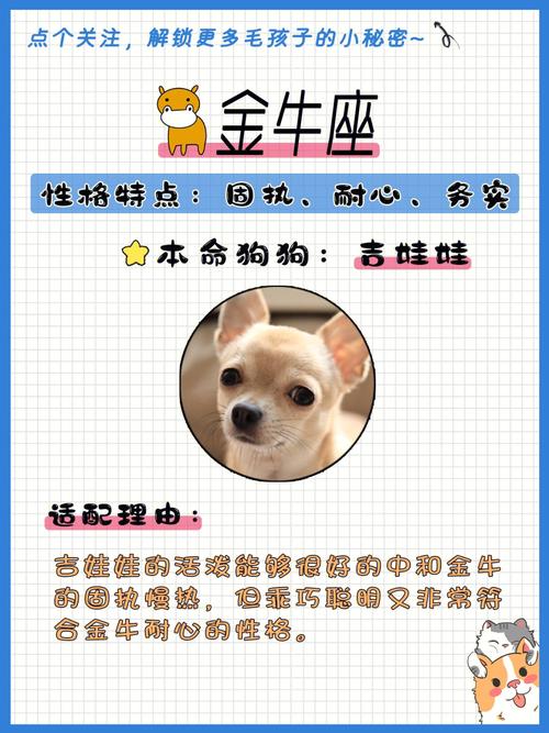 白羊座生肖狗的性格特点
