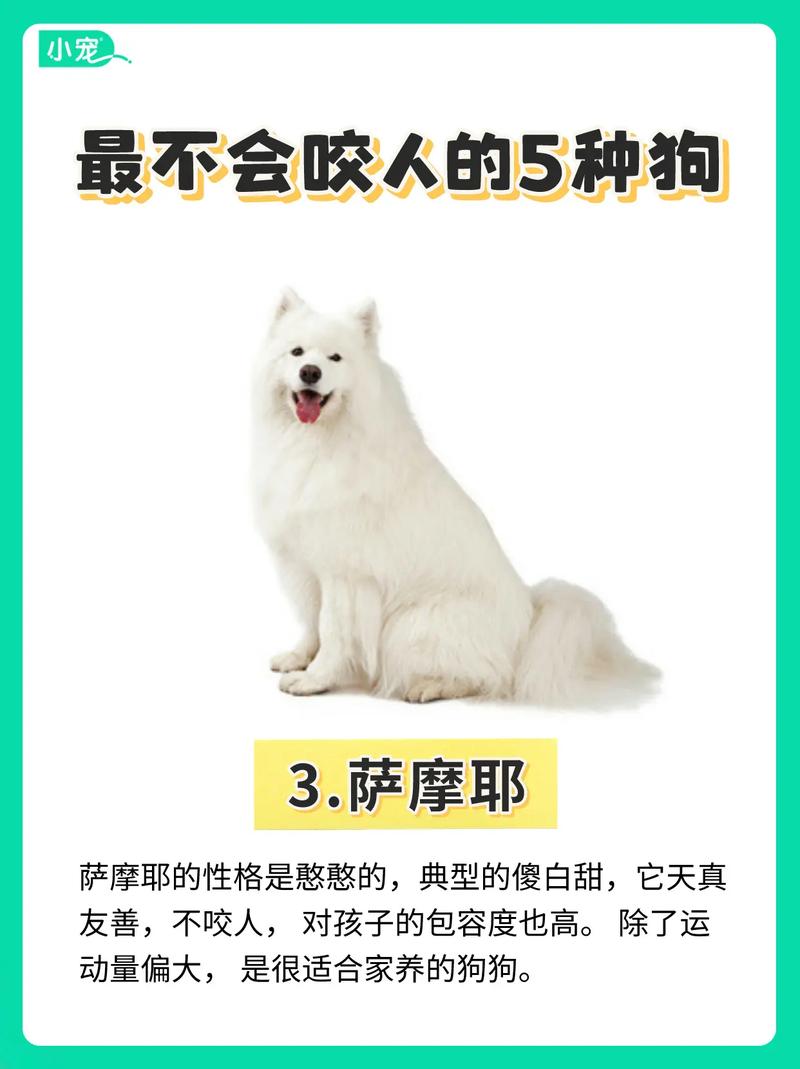 梦见友善的狗是什么意思