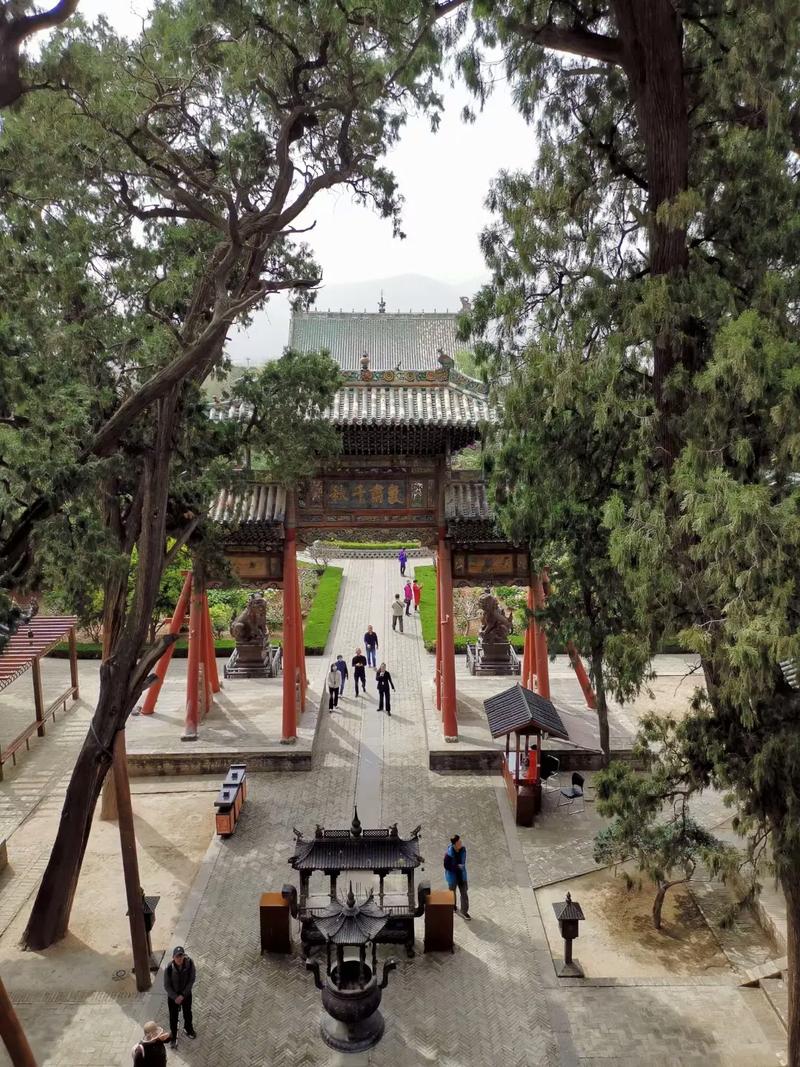 梦见仰看高处的寺庙怎么回事