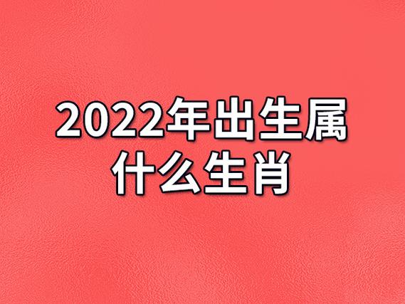 2022年的虎属于什么命