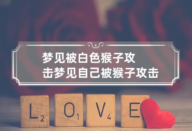 梦见被白色猴子攻击