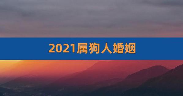 2023年1月属狗者婚姻是否美满