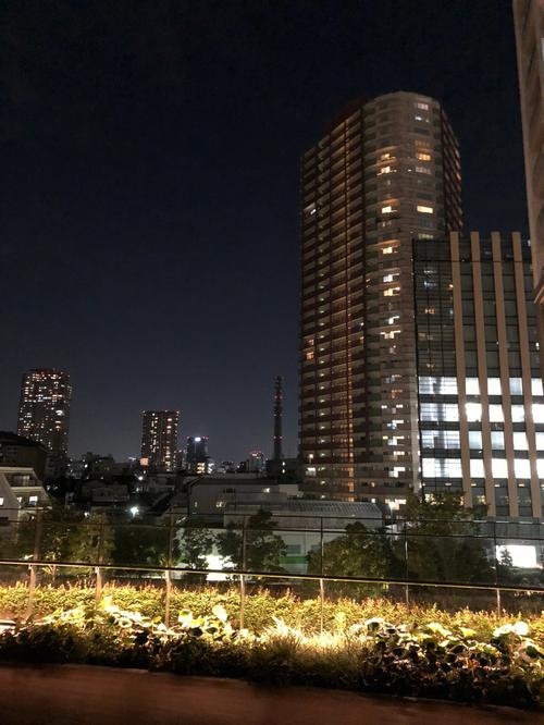 梦见到塔楼象征着什么