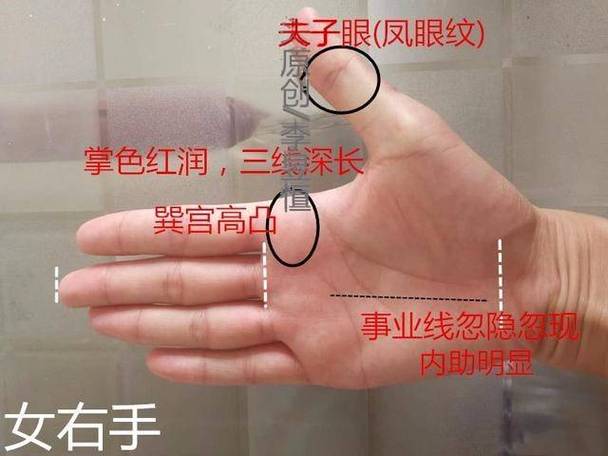 貌如眼睛的吉祥的标记:夫子眼手纹详解