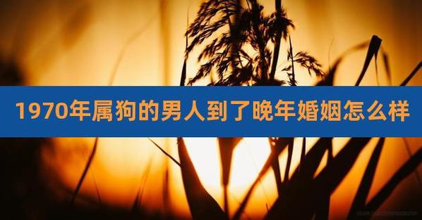 70年男属狗的婚姻感情怎么样