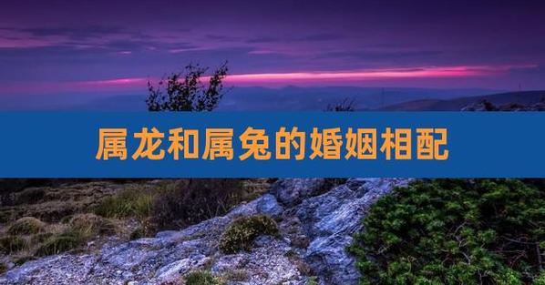 龙和兔合不合适婚姻