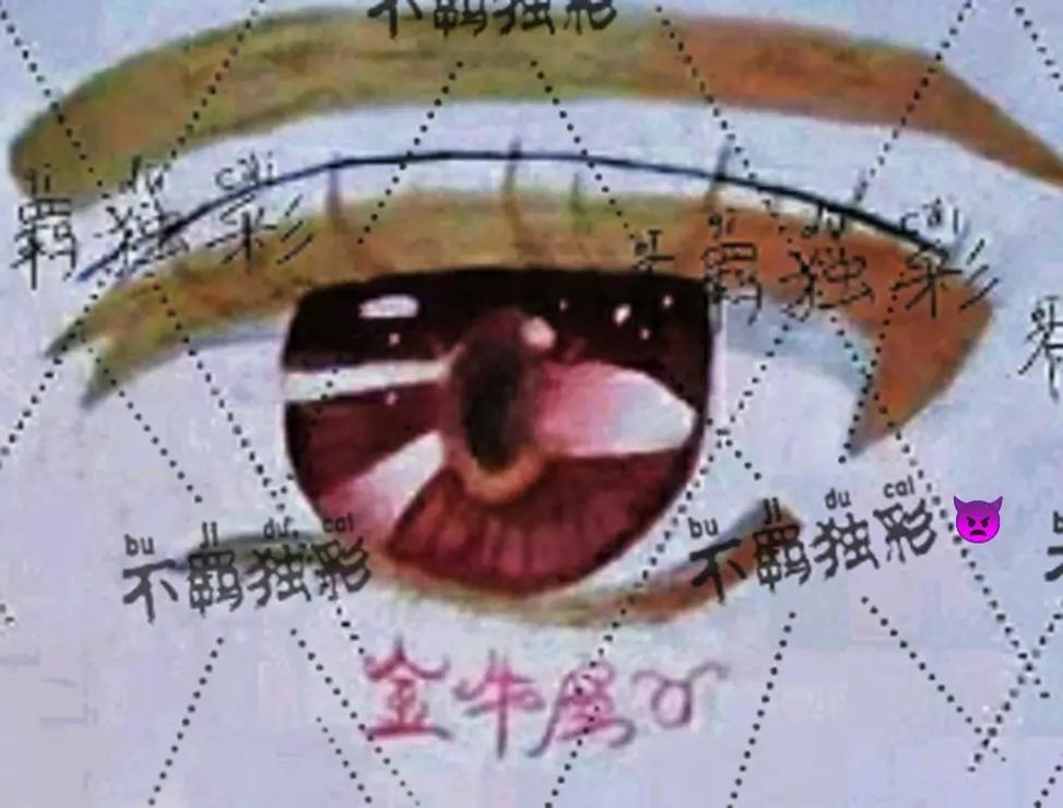 12星座谁的眼睛最美