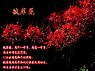 梦见别人升官是什么意思