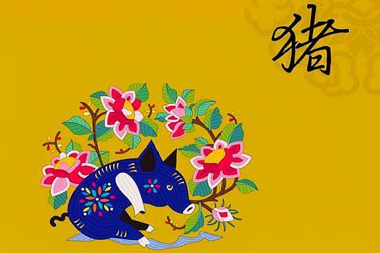 71年本命年猪的运势