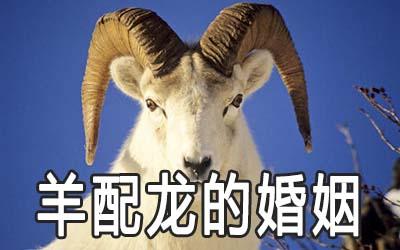 女羊男龙婚姻怎么样