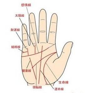 手相看什么样的人可以深交