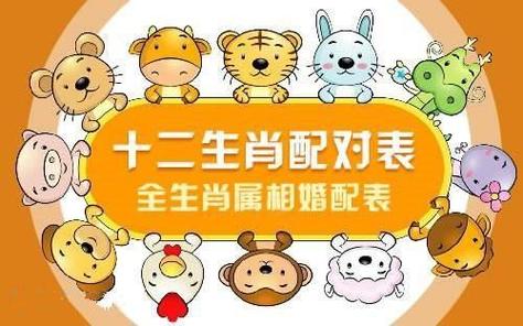 属鸡的人和属牛的相配吗