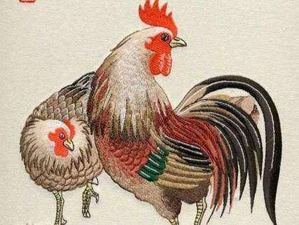 93年鸡什么时候运气好起来