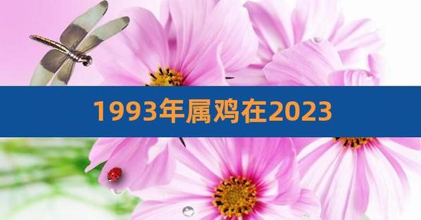 1993鸡女2023年生子几率,93年属鸡女哪年添丁好