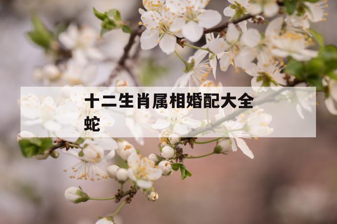 生肖蛇最配的属相有哪些