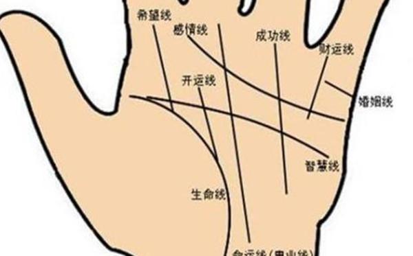 手掌上有螺旋纹代表什么