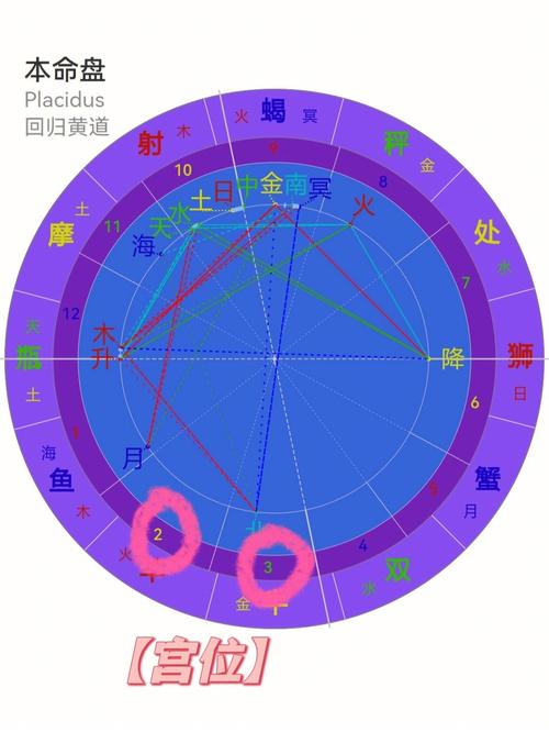 10宫有两个星座 十二宫第十宫是什么星座