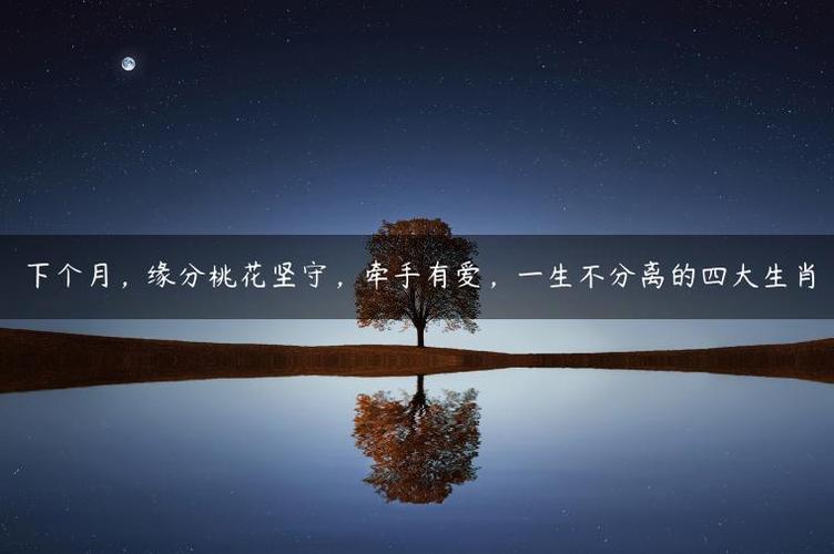 下个月蓦然回首收获缘分和桃花
