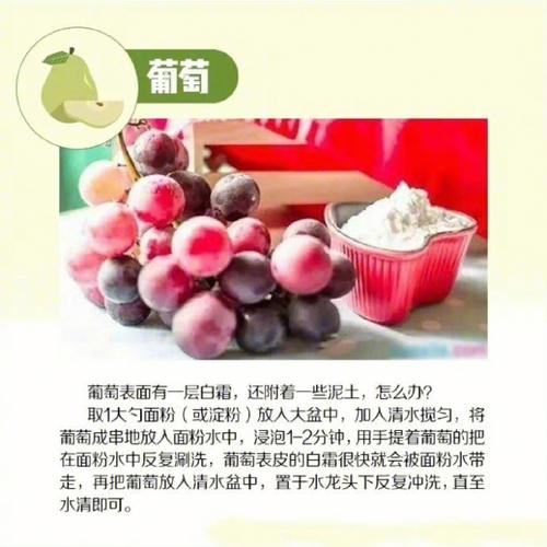 爱吃的水果对应你是什么性格