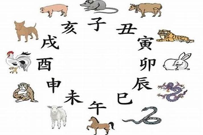 生肖属羊的和属鸡的配吗?