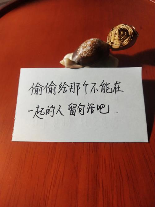 属鼠会勉强接受和不喜欢的人在一起吗