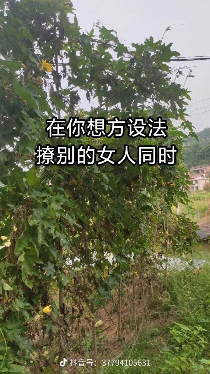 对自己媳妇太好