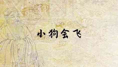 梦见狗会飞