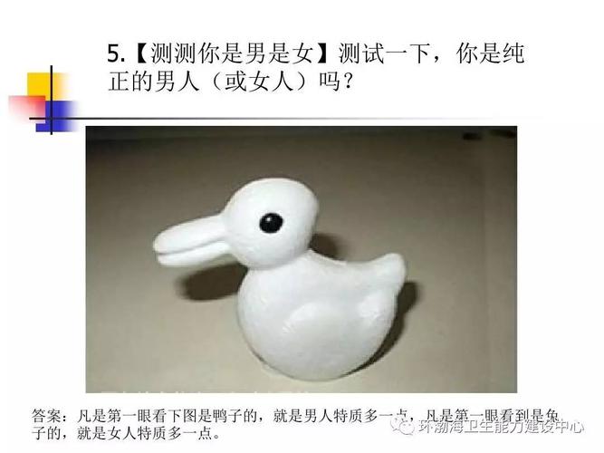 测试你可以吸引到几等男人
