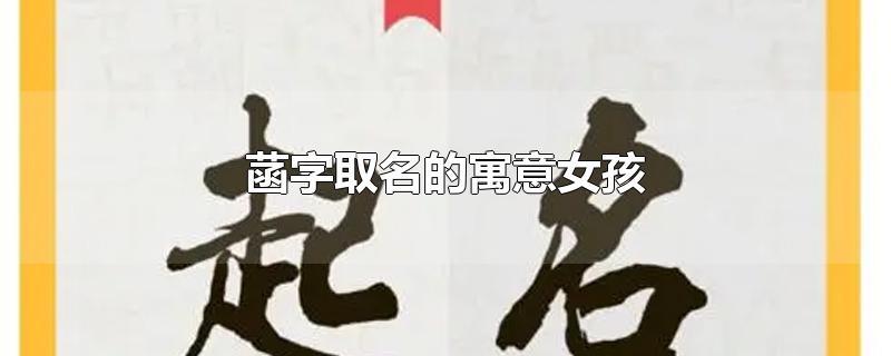 带菡字的女孩名字