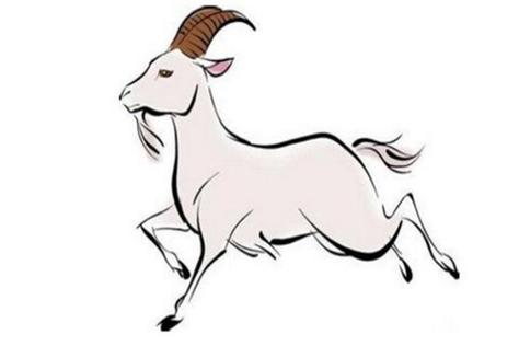 2019年5月属羊的人事业运势怎么样,如何提升事业运