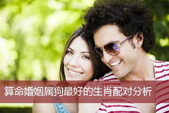 属狗生肖配对姻缘