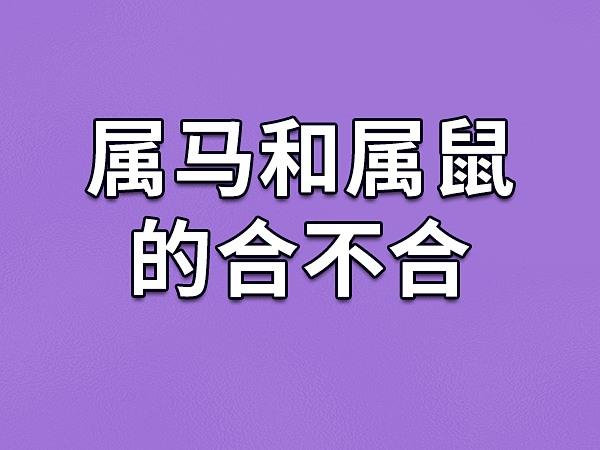 属鼠会因为什么理由离婚