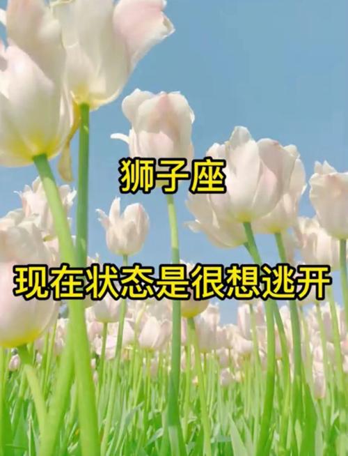 在工作中狮子座怎样才能将自己保护好