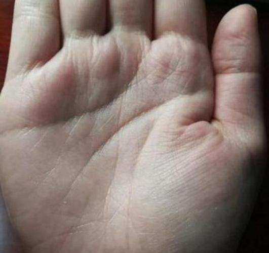 中国十大罕见手相