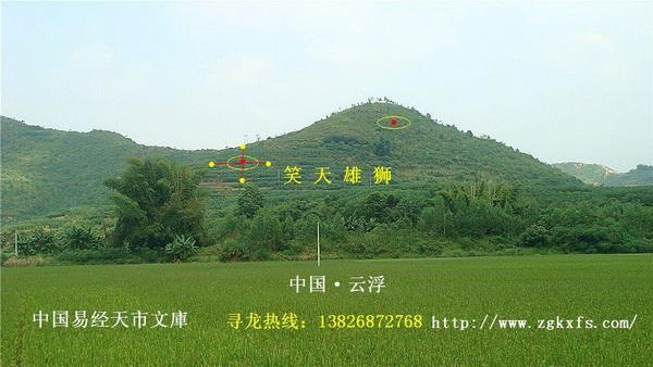 九龙聚会富豪祖穴