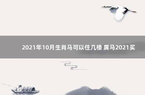 生肖马的人住几层最好?