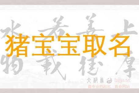 金姓猪年男宝宝名字