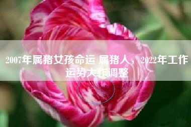 属猪子时出生的女孩命运如何