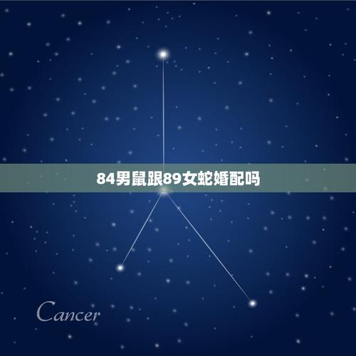 属蛇男如何宠溺仓鼠系女友
