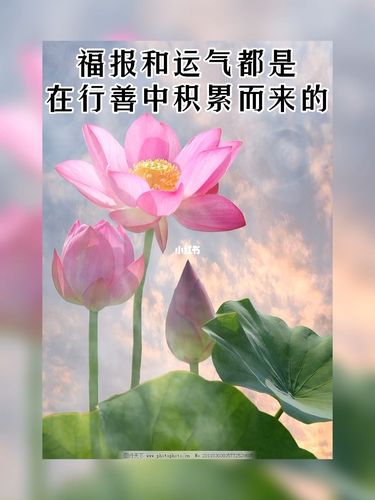 什么样的八字福报大