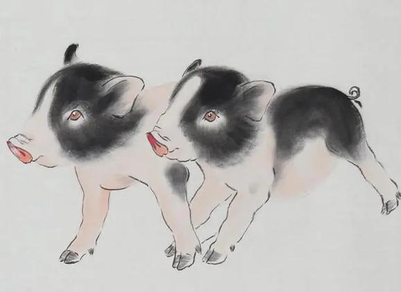 2019年生肖猪每月运程