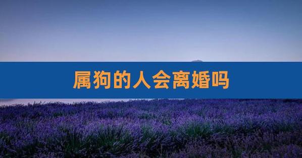 属狗男人想离婚的表现